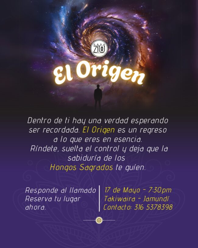 Hongos niños santos