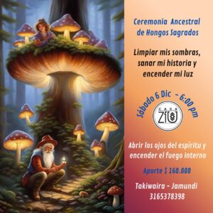 Sábado 6 de diciembre Ceremonia Sagrada de Hongos Jamundi-Cali