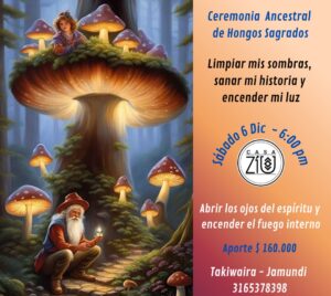 Sábado 6 de diciembre Ceremonia Sagrada de Hongos Jamundi-Cali