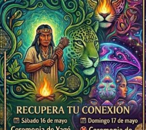 2 Ceremonias Ancestrales Yage y Hongos 16 y 17 de mayo